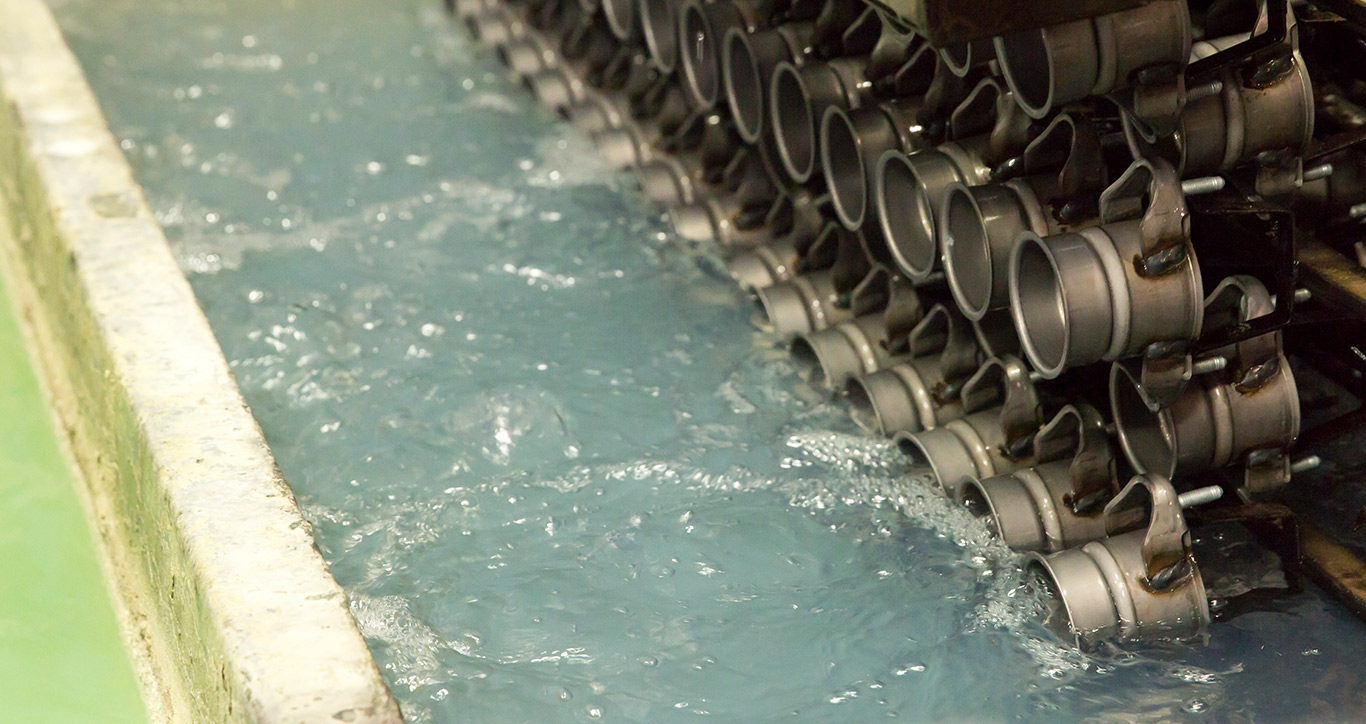 Other Services Max Coating